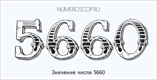 Расшифровка значения числа 5660 по цифрам в нумерологии