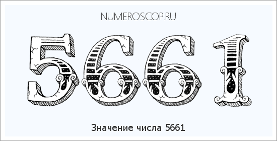 Расшифровка значения числа 5661 по цифрам в нумерологии