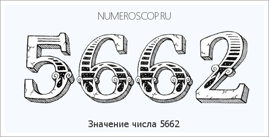 Расшифровка значения числа 5662 по цифрам в нумерологии