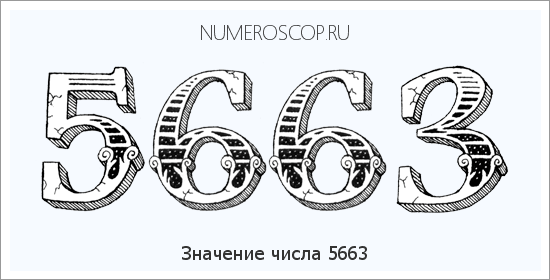 Расшифровка значения числа 5663 по цифрам в нумерологии