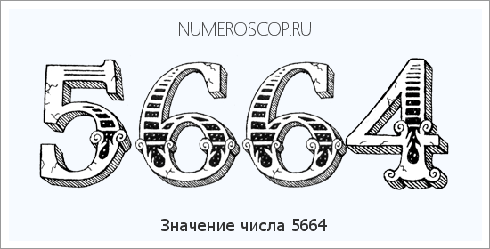 Расшифровка значения числа 5664 по цифрам в нумерологии