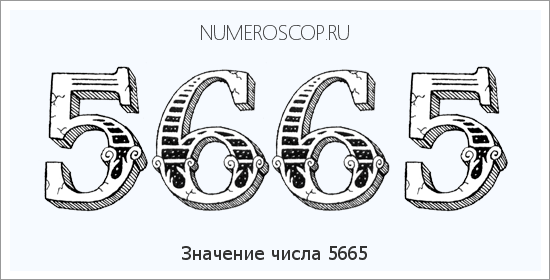 Расшифровка значения числа 5665 по цифрам в нумерологии