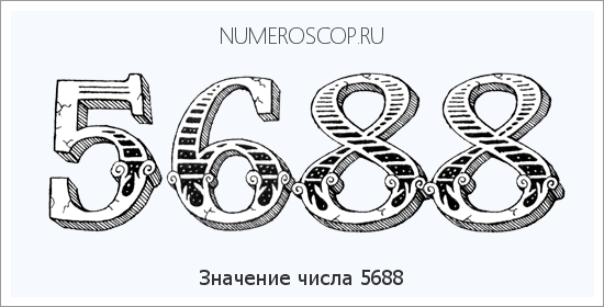 Расшифровка значения числа 5688 по цифрам в нумерологии