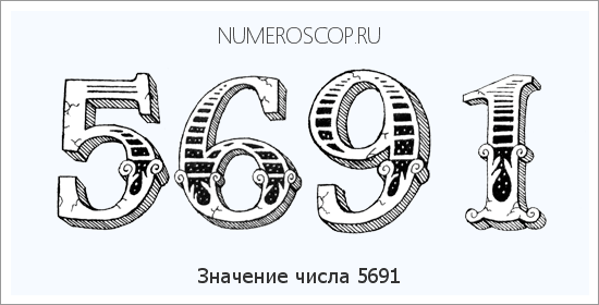 Расшифровка значения числа 5691 по цифрам в нумерологии