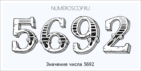 Расшифровка значения числа 5692 по цифрам в нумерологии