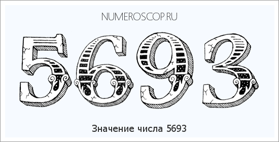 Расшифровка значения числа 5693 по цифрам в нумерологии
