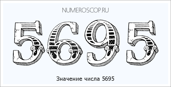 Расшифровка значения числа 5695 по цифрам в нумерологии