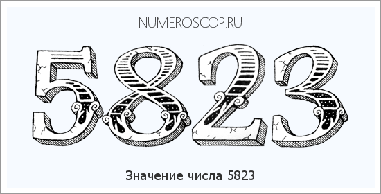Расшифровка значения числа 5823 по цифрам в нумерологии