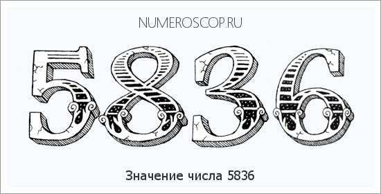Расшифровка значения числа 5836 по цифрам в нумерологии