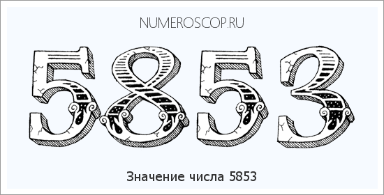 Расшифровка значения числа 5853 по цифрам в нумерологии
