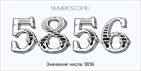 Расшифровка значения числа 5856 по цифрам в нумерологии