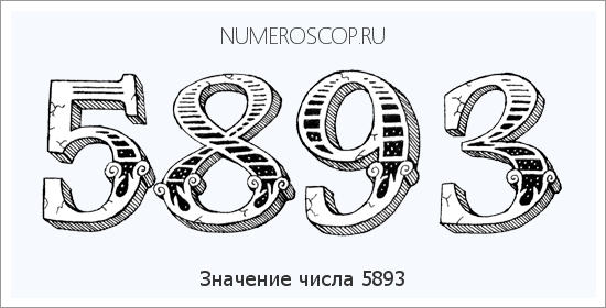 Расшифровка значения числа 5893 по цифрам в нумерологии