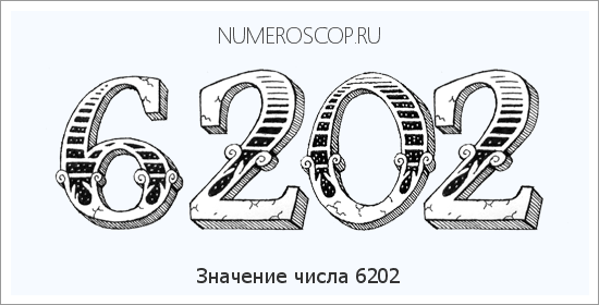 Расшифровка значения числа 6202 по цифрам в нумерологии
