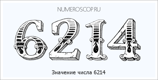 Расшифровка значения числа 6214 по цифрам в нумерологии