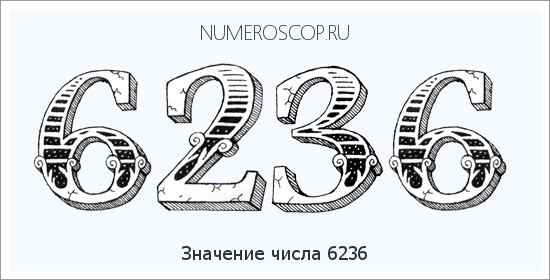 Расшифровка значения числа 6236 по цифрам в нумерологии
