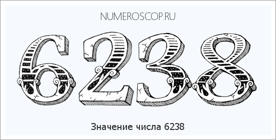 Расшифровка значения числа 6238 по цифрам в нумерологии