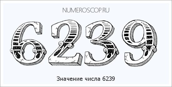 Расшифровка значения числа 6239 по цифрам в нумерологии