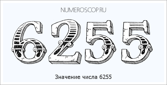 Расшифровка значения числа 6255 по цифрам в нумерологии