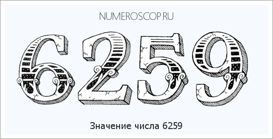 Расшифровка значения числа 6259 по цифрам в нумерологии