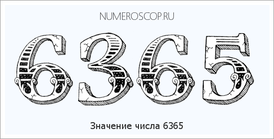 Расшифровка значения числа 6365 по цифрам в нумерологии