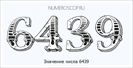Расшифровка значения числа 6439 по цифрам в нумерологии