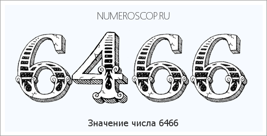 Расшифровка значения числа 6466 по цифрам в нумерологии