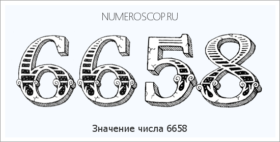Расшифровка значения числа 6658 по цифрам в нумерологии