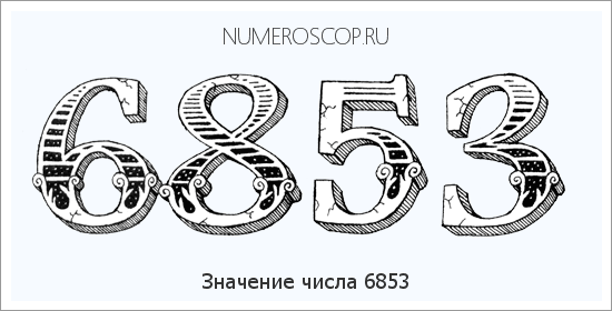 Расшифровка значения числа 6853 по цифрам в нумерологии