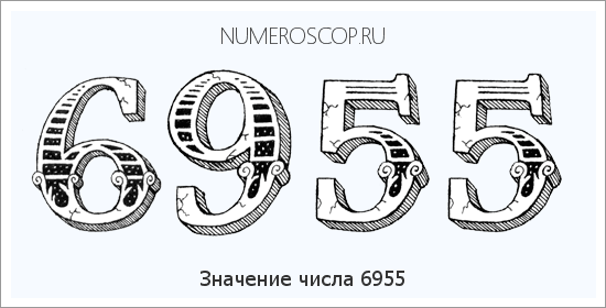 Расшифровка значения числа 6955 по цифрам в нумерологии