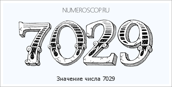 Расшифровка значения числа 7029 по цифрам в нумерологии