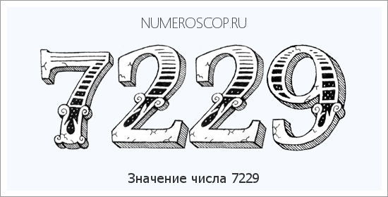 Расшифровка значения числа 7229 по цифрам в нумерологии