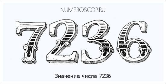 Расшифровка значения числа 7236 по цифрам в нумерологии