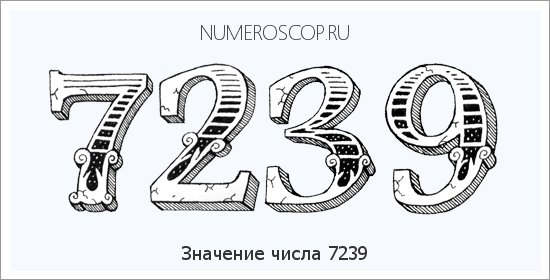 Расшифровка значения числа 7239 по цифрам в нумерологии