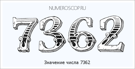 Расшифровка значения числа 7362 по цифрам в нумерологии