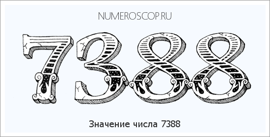 Расшифровка значения числа 7388 по цифрам в нумерологии