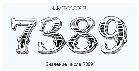 Расшифровка значения числа 7389 по цифрам в нумерологии