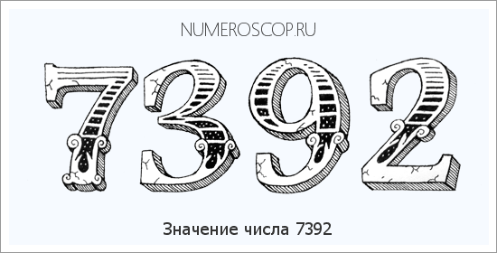 Расшифровка значения числа 7392 по цифрам в нумерологии