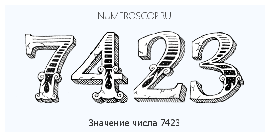 Расшифровка значения числа 7423 по цифрам в нумерологии