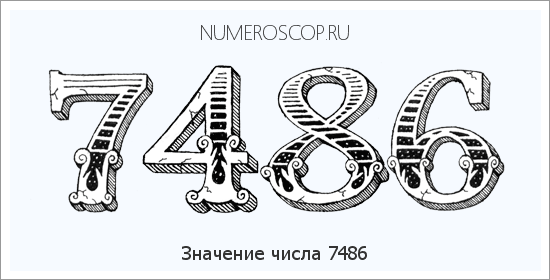 Расшифровка значения числа 7486 по цифрам в нумерологии