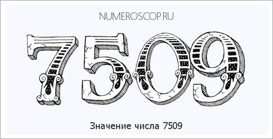 Расшифровка значения числа 7509 по цифрам в нумерологии