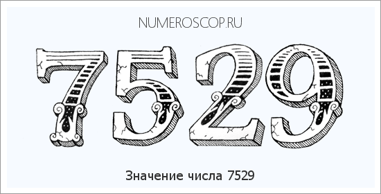 Расшифровка значения числа 7529 по цифрам в нумерологии