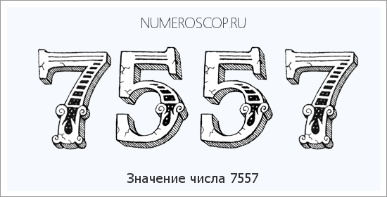 Расшифровка значения числа 7557 по цифрам в нумерологии