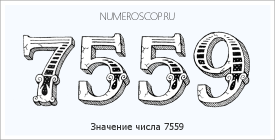 Расшифровка значения числа 7559 по цифрам в нумерологии