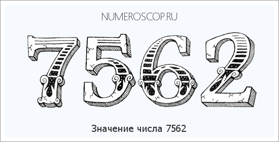 Расшифровка значения числа 7562 по цифрам в нумерологии