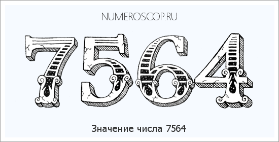 Расшифровка значения числа 7564 по цифрам в нумерологии