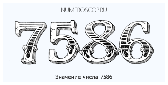 Расшифровка значения числа 7586 по цифрам в нумерологии