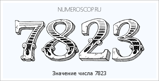Расшифровка значения числа 7823 по цифрам в нумерологии