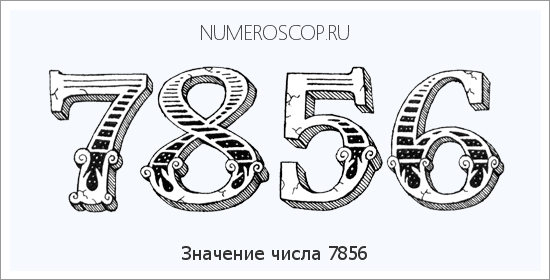 Расшифровка значения числа 7856 по цифрам в нумерологии