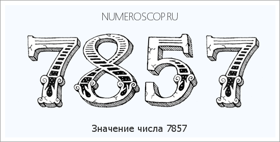 Расшифровка значения числа 7857 по цифрам в нумерологии