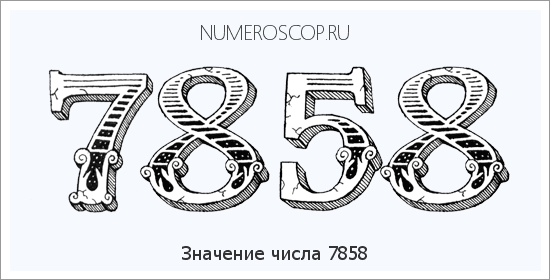 Расшифровка значения числа 7858 по цифрам в нумерологии